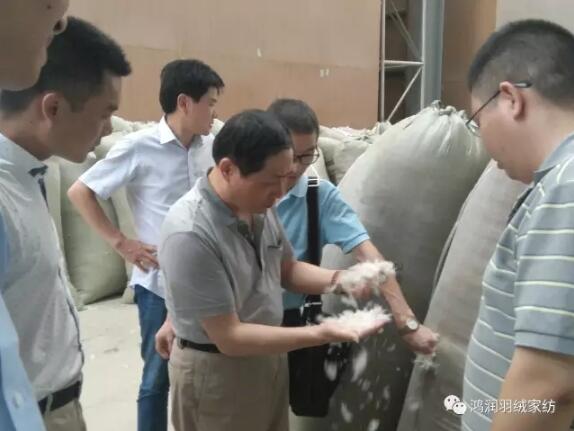 鴻潤集團常務副總裁夏吉忠一行調(diào)研羽絨行業(yè)發(fā)展動向