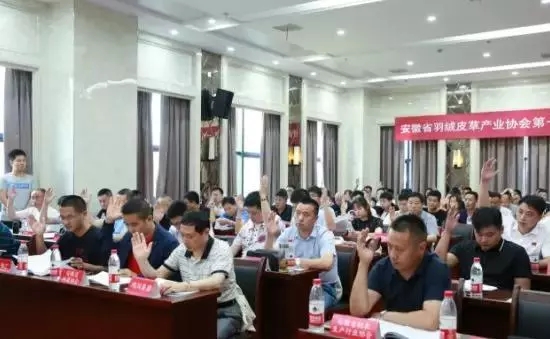 安徽省羽絨皮草產(chǎn)業(yè)協(xié)會(huì)成立，夏吉國(guó)總裁任第一屆理事會(huì)顧問(wèn)